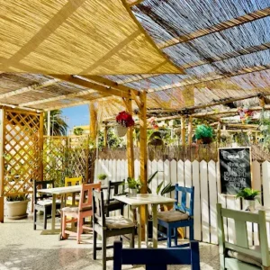 Fri 20: Solo Bears Social 2026 (I)